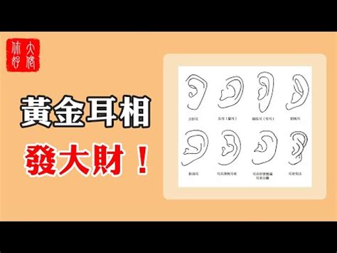 打耳洞 破相|面相學之打耳洞「破相」說法從何而來？你是否適合打耳洞呢？